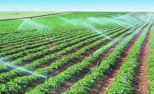 啊啊啊鸡巴好大啪啪视频农田高 效节水灌溉